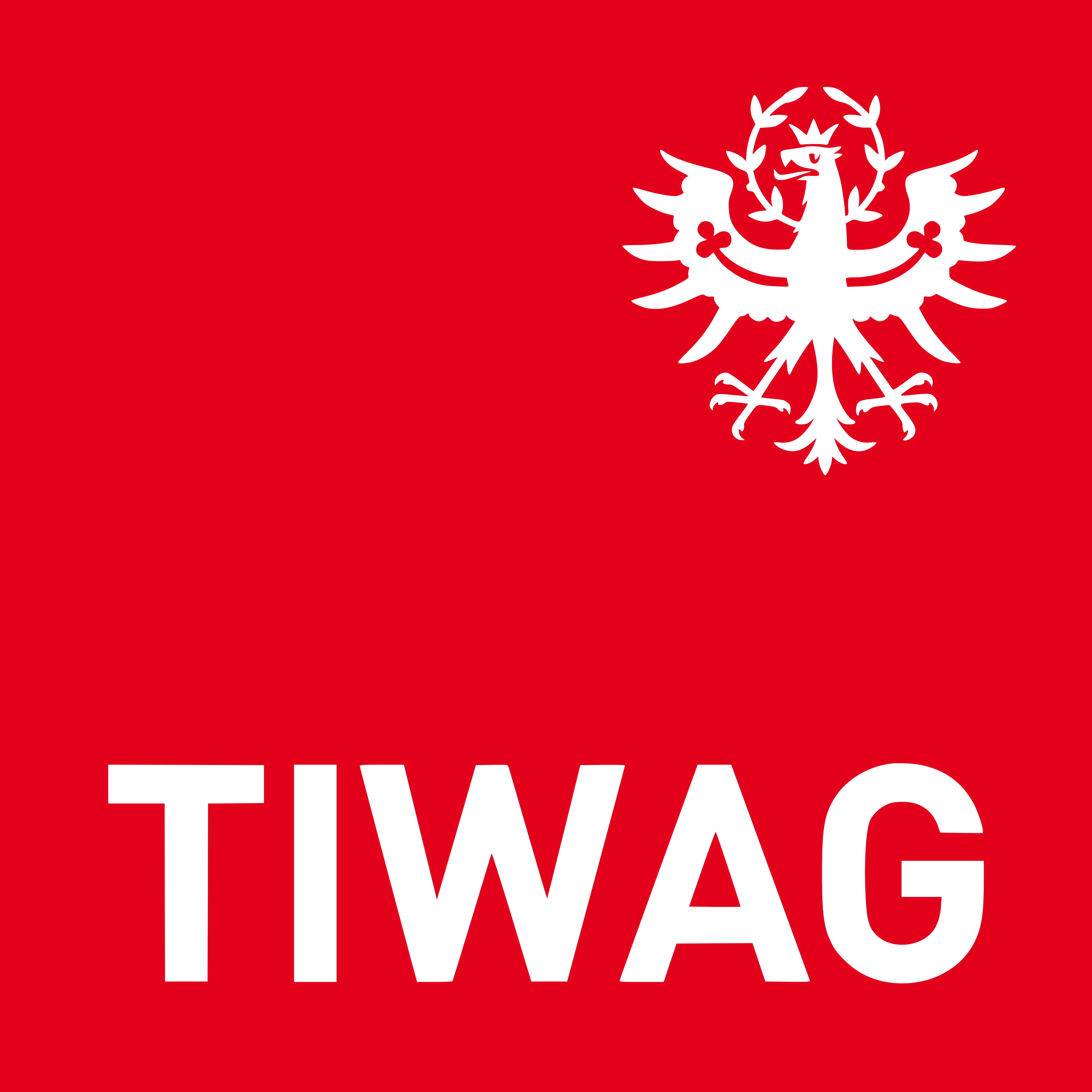 TIWAG Logo